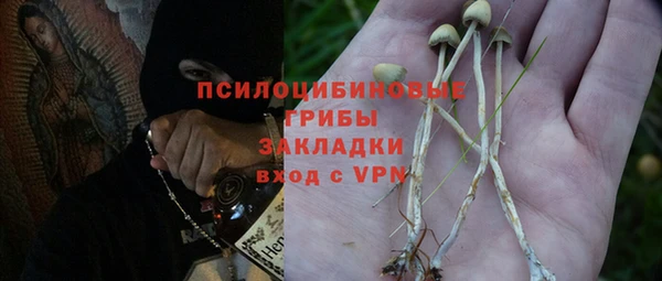 хмурый Белоозёрский