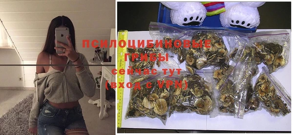 прущая мука Беломорск