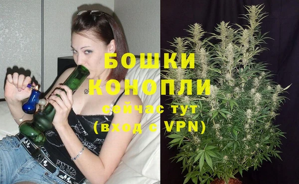 MESCALINE Белокуриха
